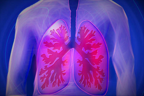 1-ви май – Световен ден за борба с астмата